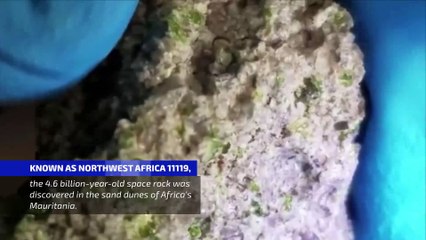 Meteorite Discovered That Is 'Completely Different' From Any Ever Found