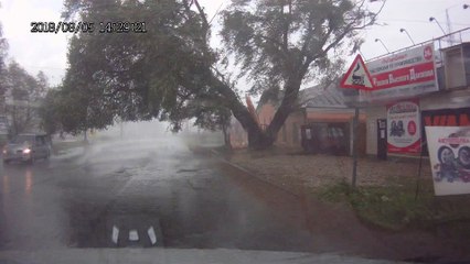 Huge Tree Falls over Road in Storm