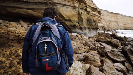 Hallan dientes de megatiburón prehistórico gigante en Australia