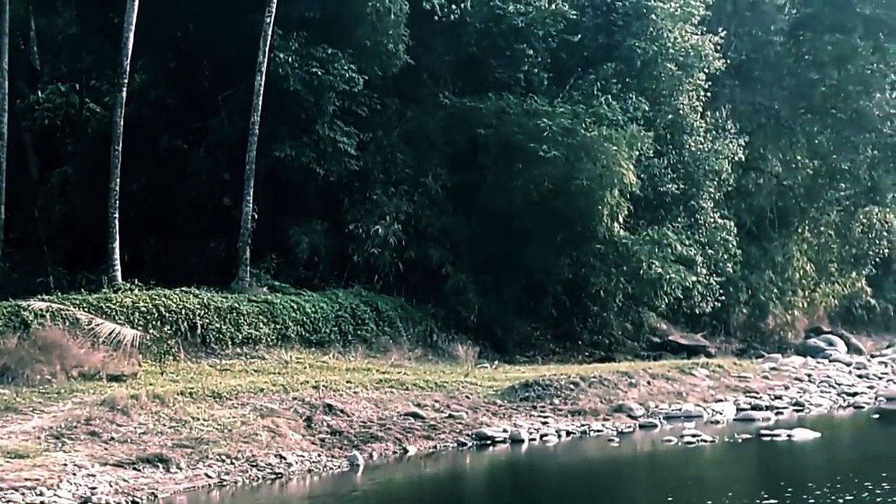 Unnatural GHOST Activity Accidentally Caught On Camera