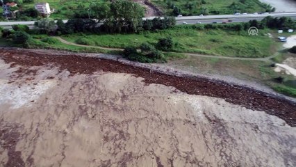 Selin denize sürüklediği fındık ağaçları (3) - ORDU