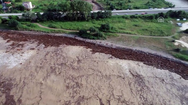 Selin denize sürüklediği fındık ağaçları (3) - ORDU