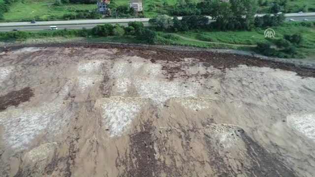 Selin Denize Sürüklediği Fındık Ağaçları (3)