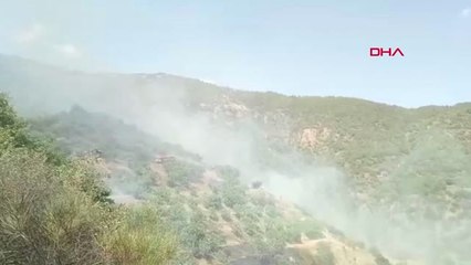 İzmir Ödemiş'te Orman Yangını