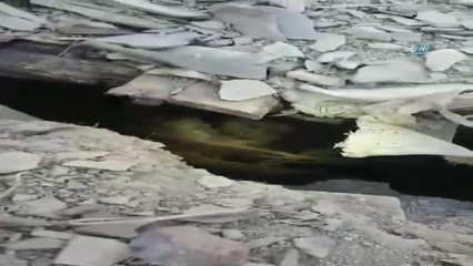 Polisi Şehit Eden Teröristler Böyle Etkisiz Hale Getirildi