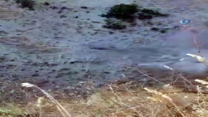 Polisi şehit eden teröristler böyle etkisiz hale getirildi