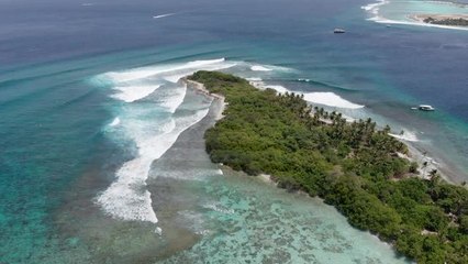 Adrénaline - Surf : HIGHLIGHTS- Day 1 From The Maldives