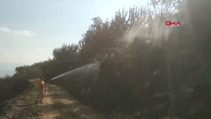İzmir - Ödemiş'te Orman Yangını Hd