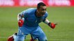 Football : le gardien égyptien El-Hadary retire ses gants