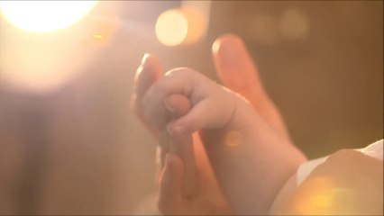 Vida sem sentido - Tudo o que você precisa ouvir!