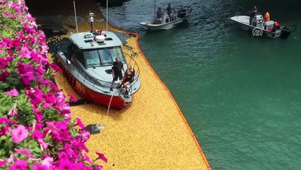 Plastik ördekler 'özel' sporcular için yarıştı - CHICAGO