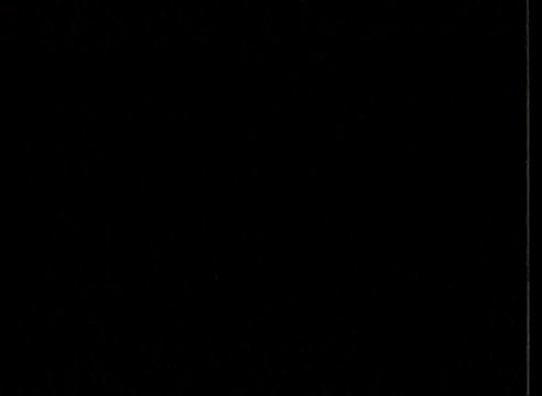 1994 Kral Türkiye Müzik Ödülleri - Tarkan ''Kış Güneşi