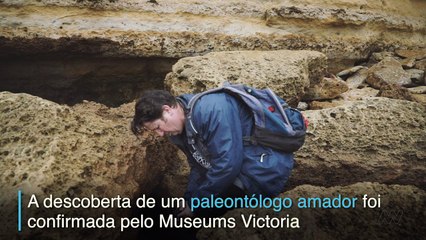 Os dentes de um predador