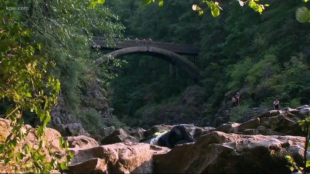 Poussée d'un pont devant une caméra par une de ses amies, une jeune fille hospitalisée avec cinq côtes cassées