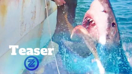 47 Meters Down: Uncaged Teaser Trailer #1 (2019) Horror Movie HD
