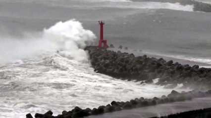 [날씨] 찜통더위 속 전국 소나기...태풍 '야기' 변수 / YTN