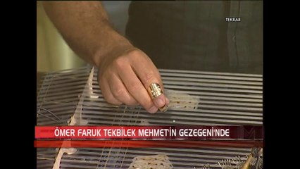 Ömer Faruk Tekbilek - Laz
