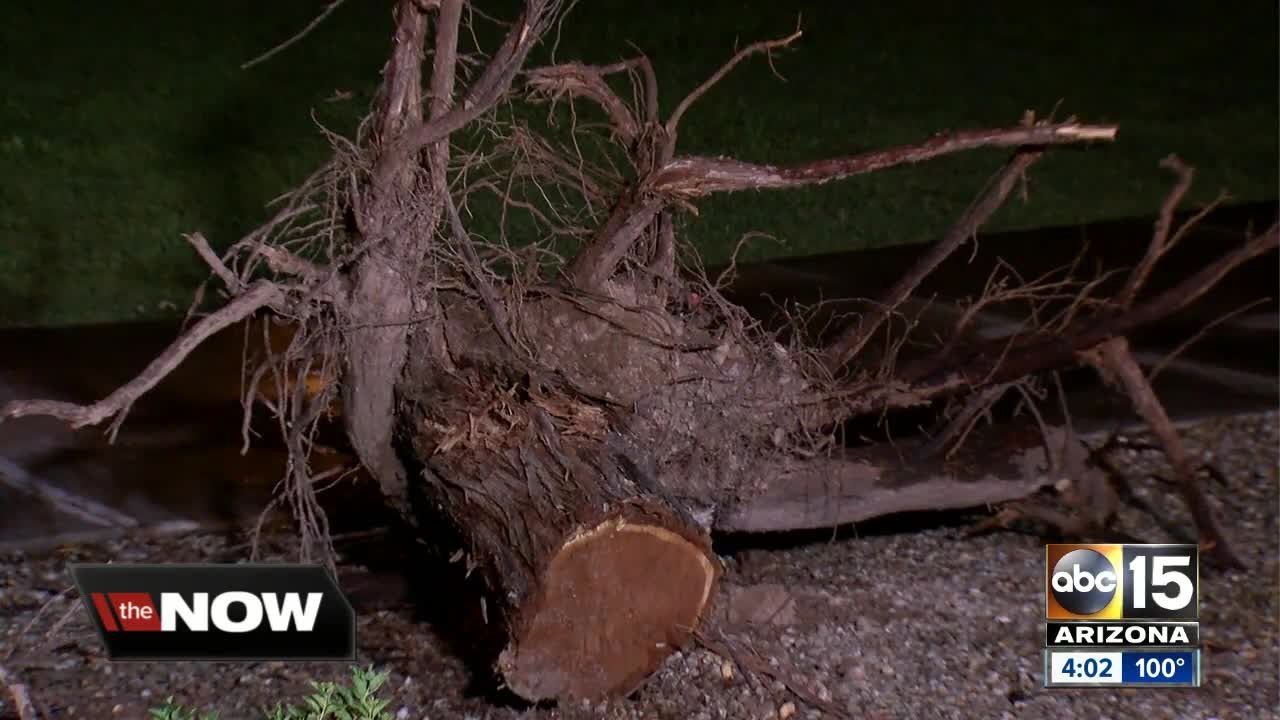 Two teens recovering after being struck by lightning in El Mirage park