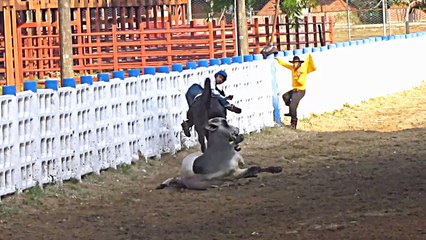 COLEO EN TAURAMENA CASANARE