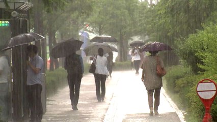 [날씨] 폭염 속 전국 소나기...태풍 '야기' 변수 / YTN