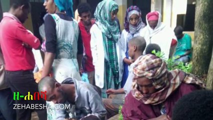 Ethiopia: ዘ-ሐበሻ የዕለቱ ዜና