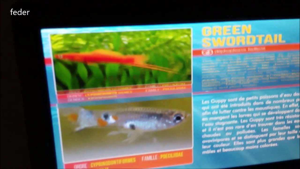 Visite #aquaruim de la guadeloupe au gosier