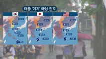 [취재N팩트] 14호 태풍 '야기' 다음 주 북한 상륙...효자 태풍 될까? / YTN