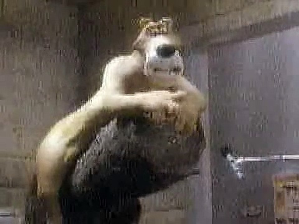 Samsung Galaxy Note 9: Key specifications, top features, India price & everything you need to know