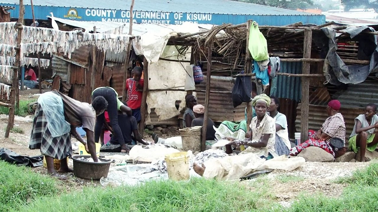 Total öko: Fischleder
