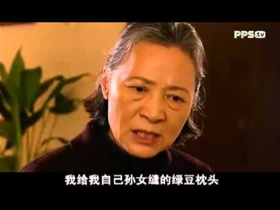 孝子 23 (主演：严敏求，许亚军，咏梅，陈瑾，于和伟，王乙竹)