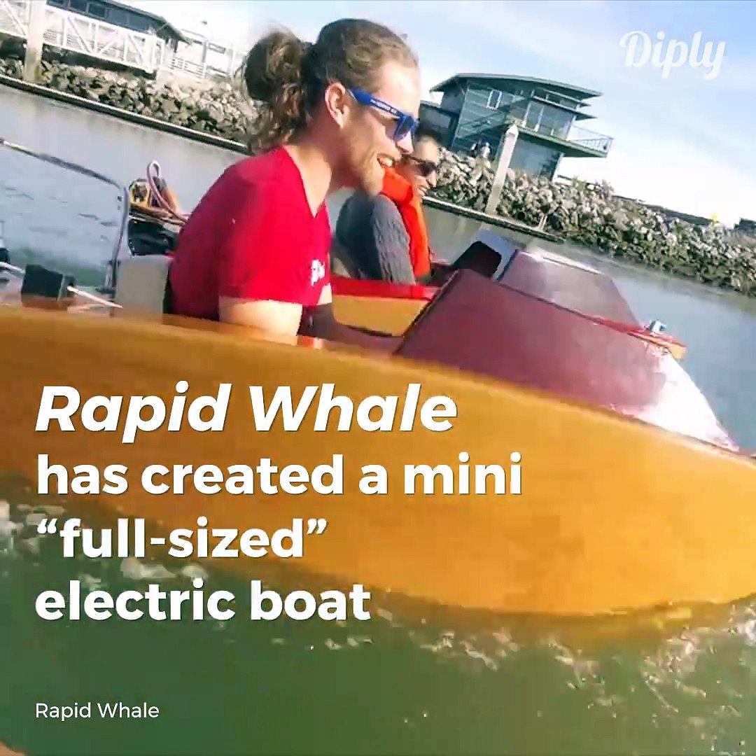 Mini Boat - Rapid Whale