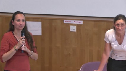 Journée technique "Actions et planification pour s'adapter au changement climatique" - Cerema Centre-Est - 19 Octobre 2017