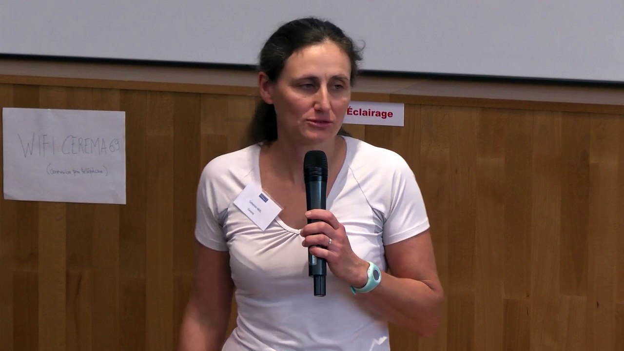 Journée technique "Actions et planification pour s'adapter au changement climatique" - Cerema Centre-Est - 19 Octobre 2017