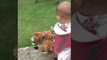 Adorable Baby Enjoys a Walk With Her Furry Sisters
