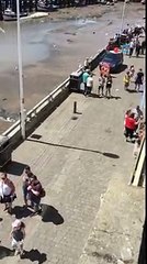 Des goélands volent de la nourriture à des touristes