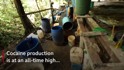 Colombia's battle with cocaine traffickers - BBC News