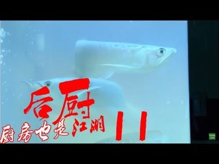 后厨 11丨The kitchen 11  (主演：小沈阳，海清，姜彤，赵峥，任晓菲)