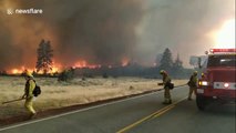 Firefighters tackle new 800-acre blaze northeast of Carr Fire