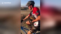 US cyclist rescues disoriented turtle found on trail