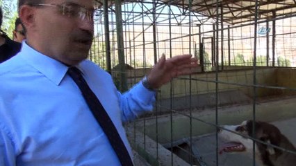 Ustaoğlu: “Paralar, bu millete hizmet olarak dönüyor”