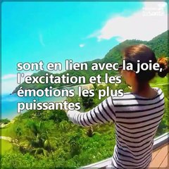 Vous êtes-vous déjà interrogé sur les liens entre nos organes et nos émotions ? Nous allons tout vous expliquer