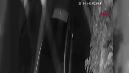 İstanbul Villa Hırsızlarının Yakalandığı Operasyon Kamerada-2