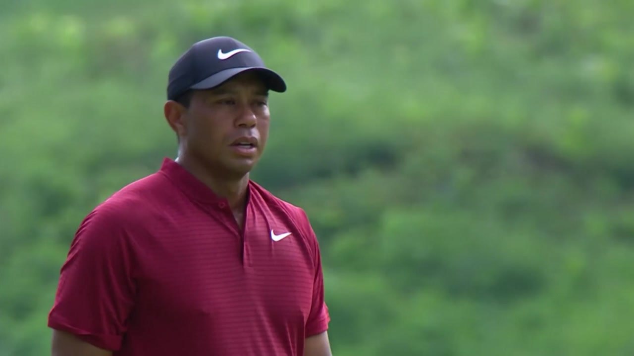 '완벽 부활' 타이거 우즈, PGA챔피언십 준우승...켑카, 메이저 2승 / YTN