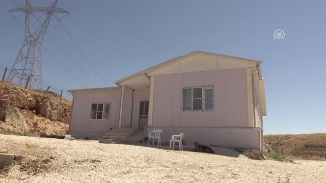 Belediye Ekipleri, Aracın Çarptığı Köpek Yavrusu İçin Seferber Oldu