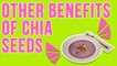 Benefits Of Chia Seeds