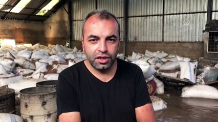 Ordulu afetzedeler yaralarını sarıyor - ORDU