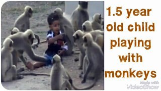 18 month old child playing and eating with monkeys