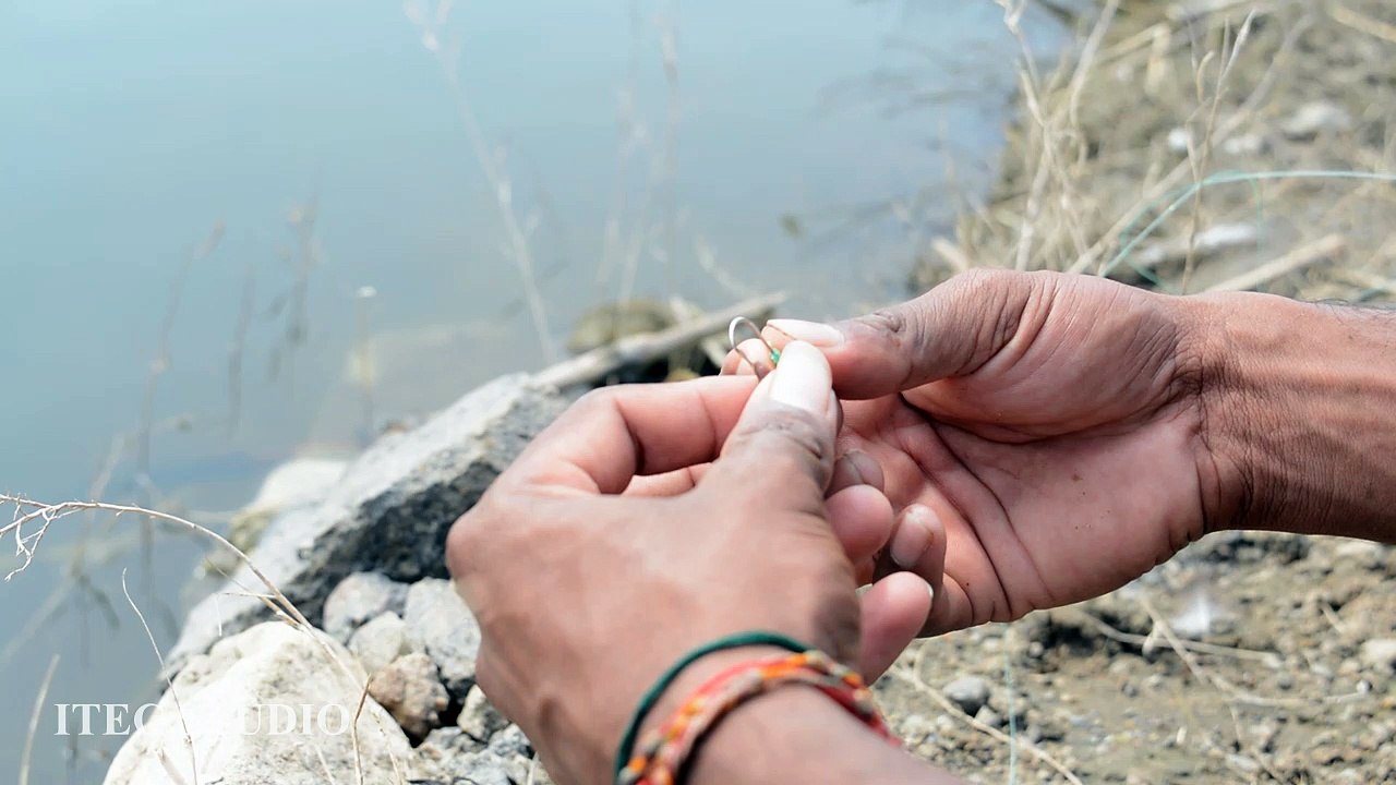 Best fish hunting with hook