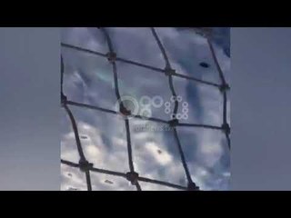 Ora News - Delfinët shoqërojnë anijen me turistë në Sarandë