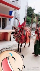 Worshiping cow Basavanna